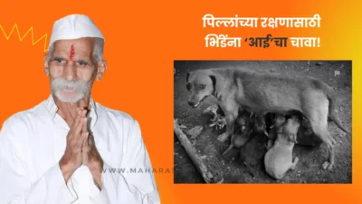 Sambhaji bhide bitten by female dog in sangli
