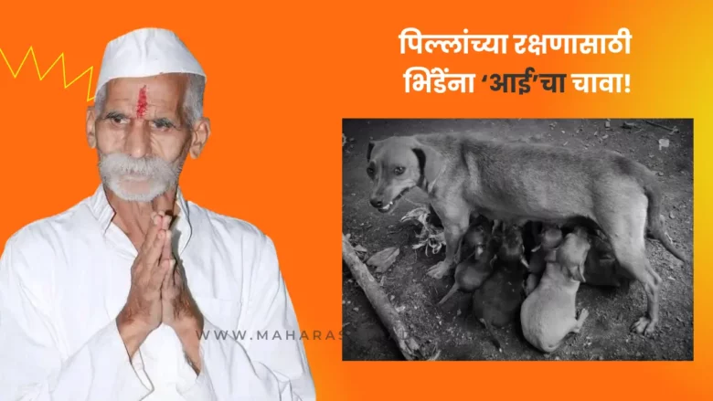 Sambhaji Bhide Bitten by Female Dog in Sangli