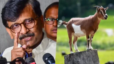 Sanjay raut has criticized eknath shinde by tweeting a photo of a goat.