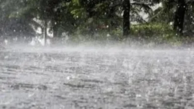 Unseasonal rain causes big crop loss in maharashtra monsoon
