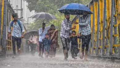 महाराष्ट्रात पावसाचा हाहाकार! 2 दिवसांत 24 मृत्यू, वीज व झाडांच्या दुर्घटनांनी वाढली चिंता Rain havoc in maharashtra! 24 deaths in 2 days, lightning and tree accidents increase concern