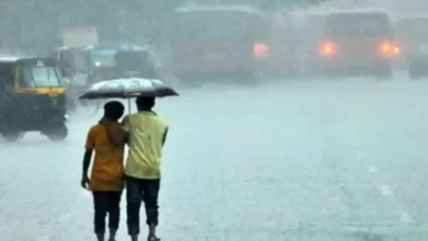 महाराष्ट्रात पावसाचा कहर; महाराष्ट्रातील 'या' जिल्ह्यांना पाऊस पुन्हा झोडपणार Rain wreaks havoc in maharashtra; rain will hit these districts of maharashtra again