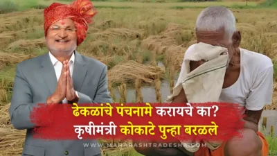 “ढेकळांचे पंचनामे करायचे का? ” कृषीमंत्री कोकाटेंचं वादग्रस्त विधान! Maharashtra agri minister manikrao kokate says “what’s the use of assessing harvested crops? Should we assess clods? ”—sparks controversy among farmers.