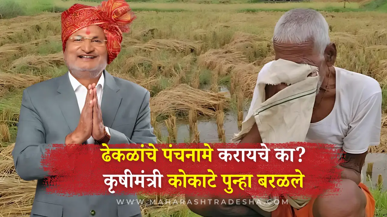 Maharashtra Agri Minister Manikrao Kokate says “What’s the use of assessing harvested crops? Should we assess clods?”—sparks controversy among farmers.