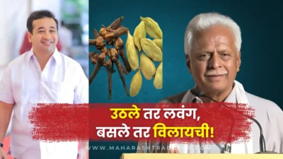 Prakash mahajan slams bjp’s nitesh rane saying he is as tiny as a clove or cardamom.