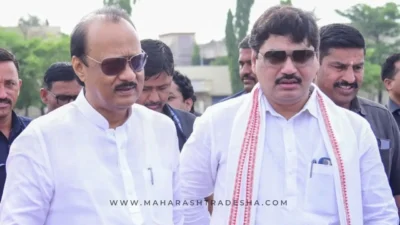 Ajit pawar, dhananjay munde