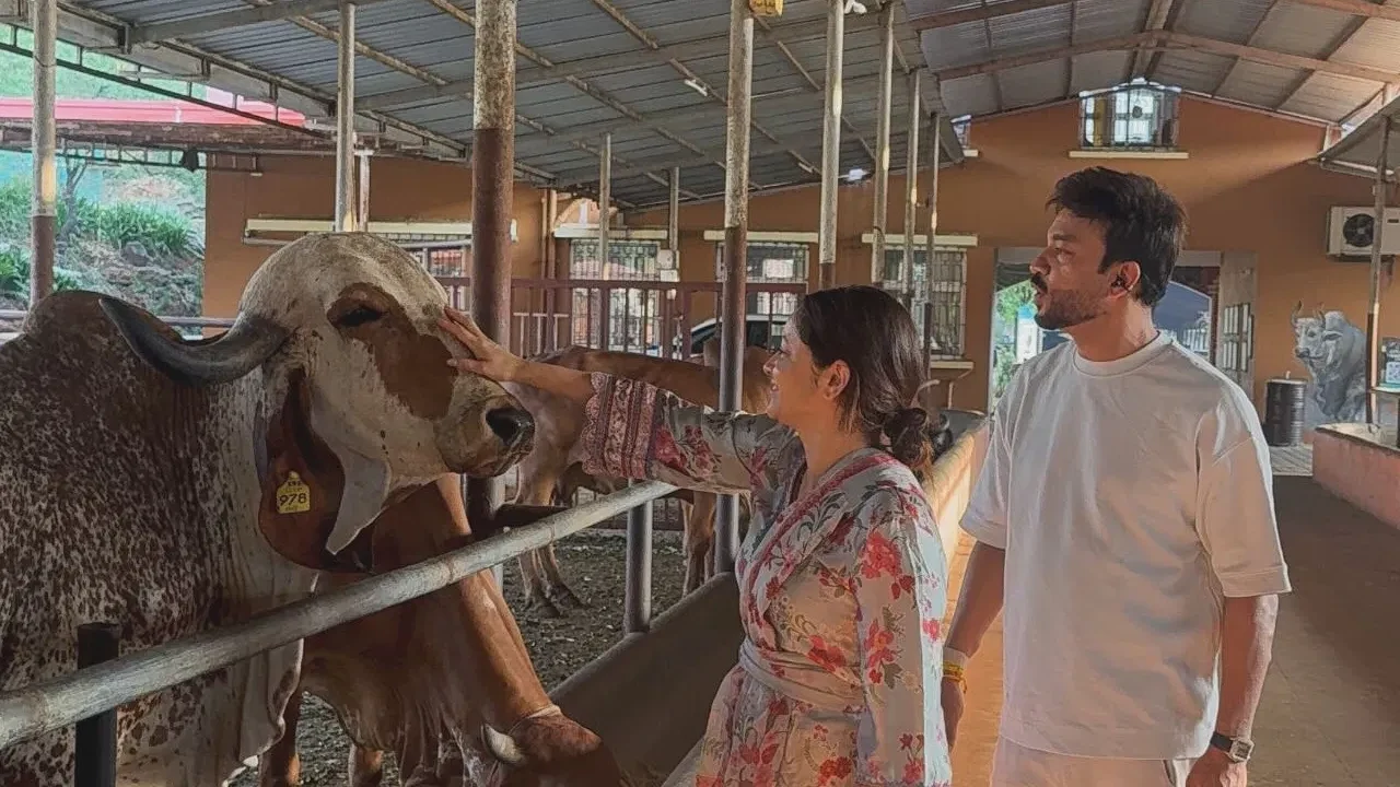Ankita Lokhande Video: अंकिताने गोशाळेत उचललं शेण!