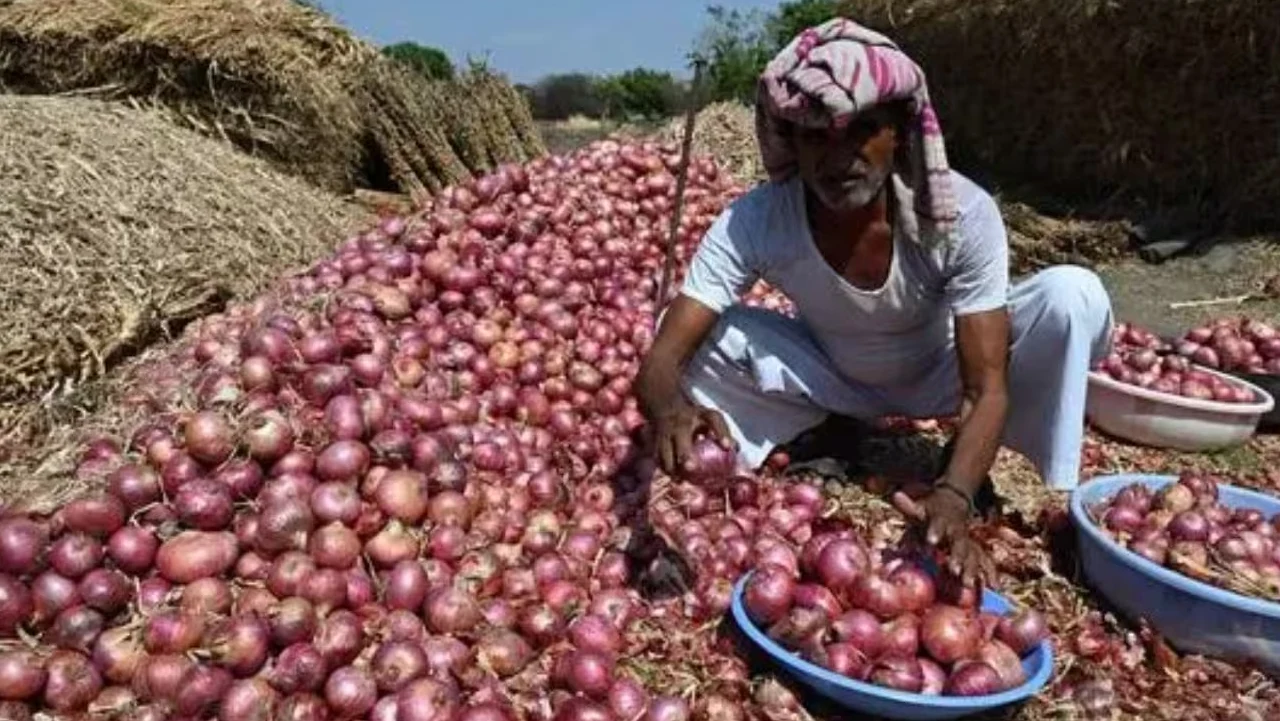Onion Farmer Ganja Cultivation Demand letter to Tehsildar by Junnar farmer