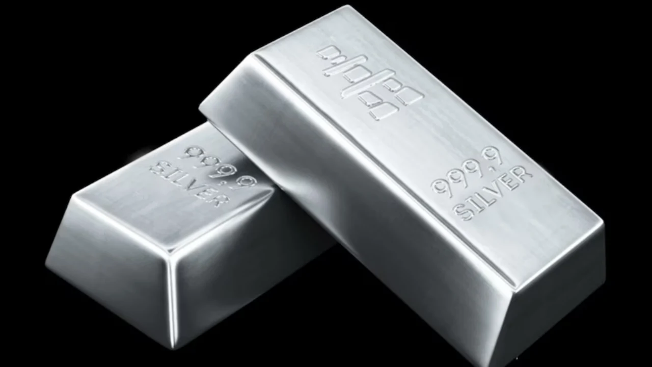 Silver Import Ban: केंद्राचा चांदीला दणका!