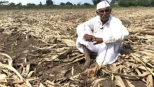 Farmer Loan Waiver - Disappointed Maharashtra farmers waiting for full debt relief.