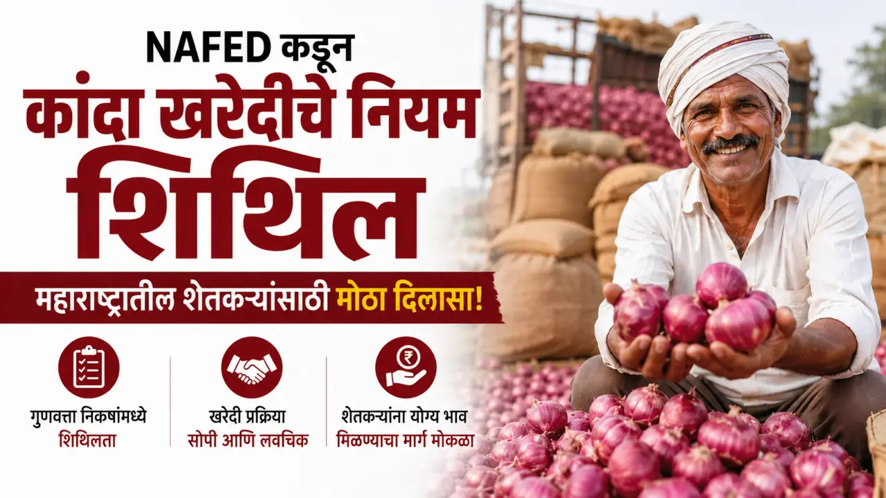 NAFED Onion Procurement rules relaxed for Maharashtra farmers