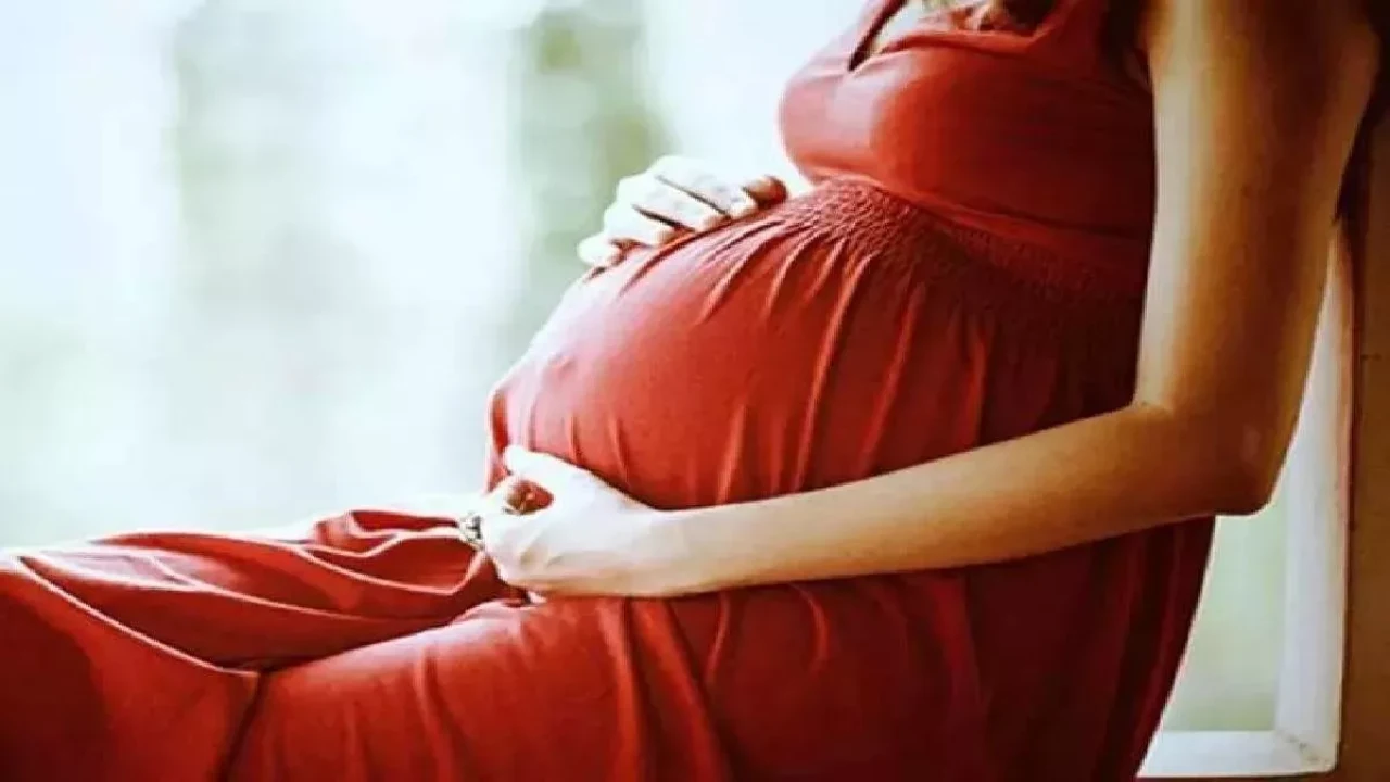 PMMVY Scheme details - Pregnant woman receiving government benefits