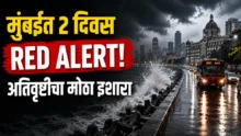 Rain Update