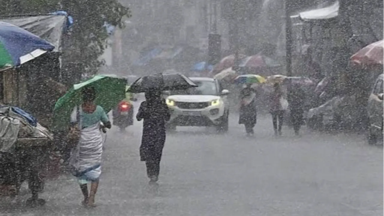 Rain Alert