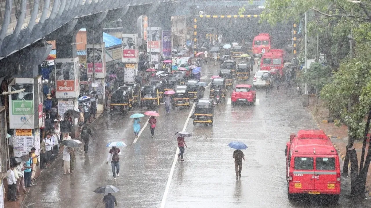 Rain Alert