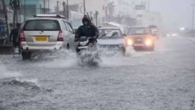 हवामान विभागाचा महाराष्ट्राला गंभीर इशारा, पुढील २४ तासांत 'या' भागात कोसळणार मुसळधार पाऊस Rain clouds over maharashtra agriculture fields with imd rain alert weather update.