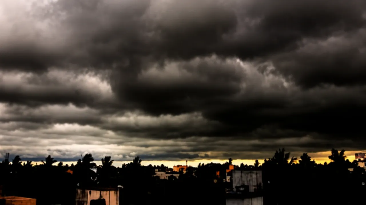 Rain Alert