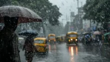 Rain Alert