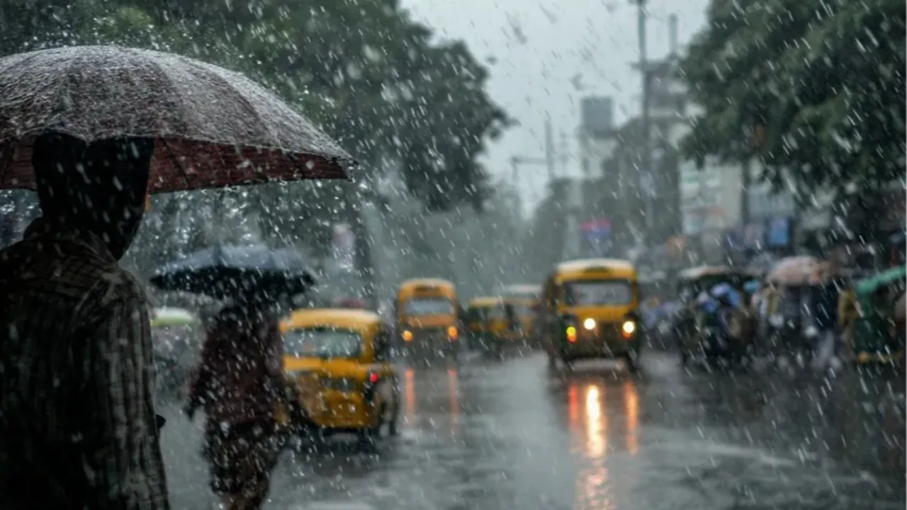 Rain Alert