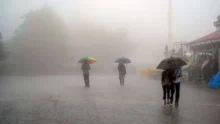 Rain Update