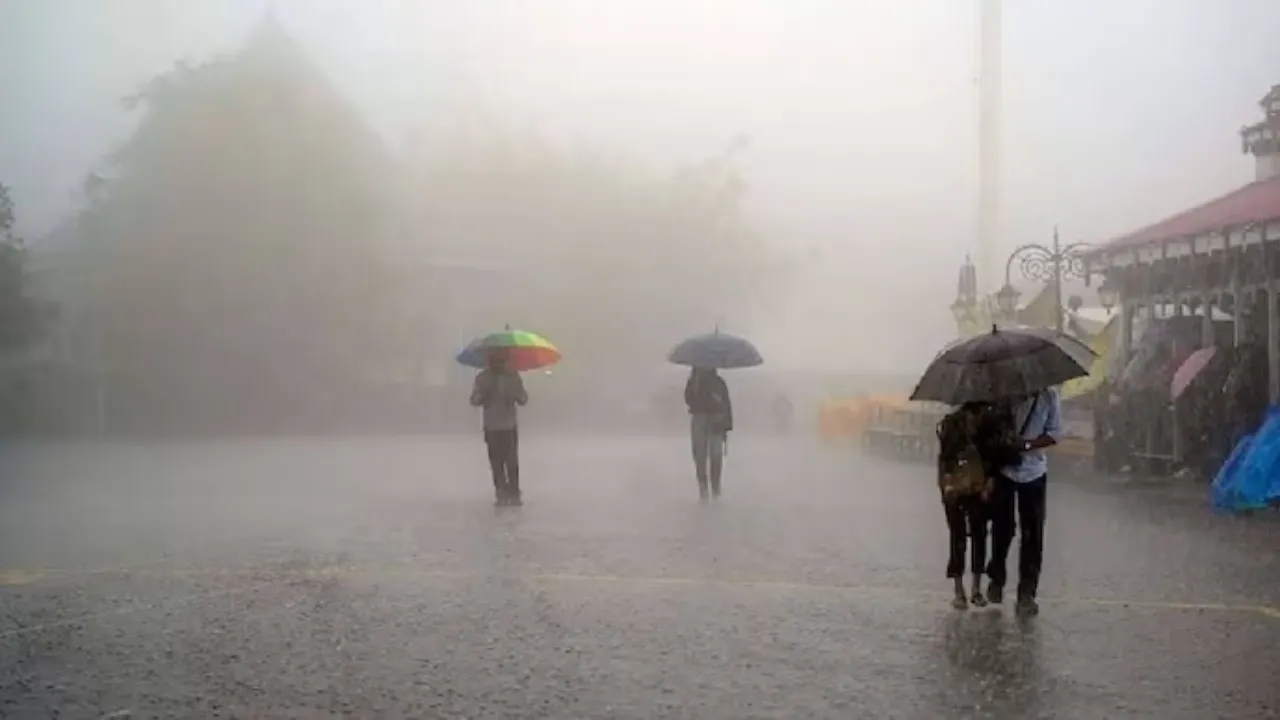 Rain Update