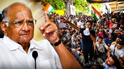 देशातील युवाशक्तीच्या एकजुटीचा हा एक मोठा विजय - शरद पवार Sharad pawar