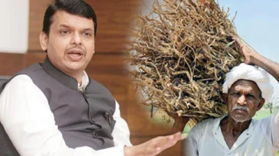 देवेंद्र फडणवीसांची मोठी घोषणा; शेतकऱ्यांचा 'हा' मोठा त्रास आता कायमचा संपणार? Maharashtra agriculture day devendra fadnavis addressing farmers at agriculture event