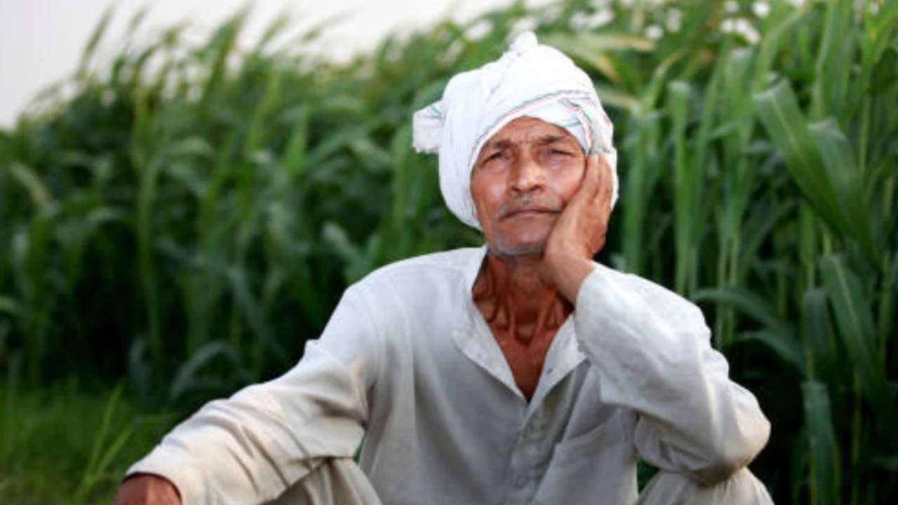 Shetkari Karjmafi details with NPA account and Haircut scheme info
