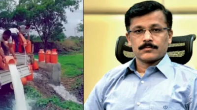 साताऱ्यात शेतकऱ्याने रस्त्यावर ओतलं शेकडो लिटर दूध; तुकाराम मुंढेंचा धसका की नेमकं घडलंय काय? Satara farmer poured hundreds of liters of milk on road viral video tukaram mundhe fda action fear