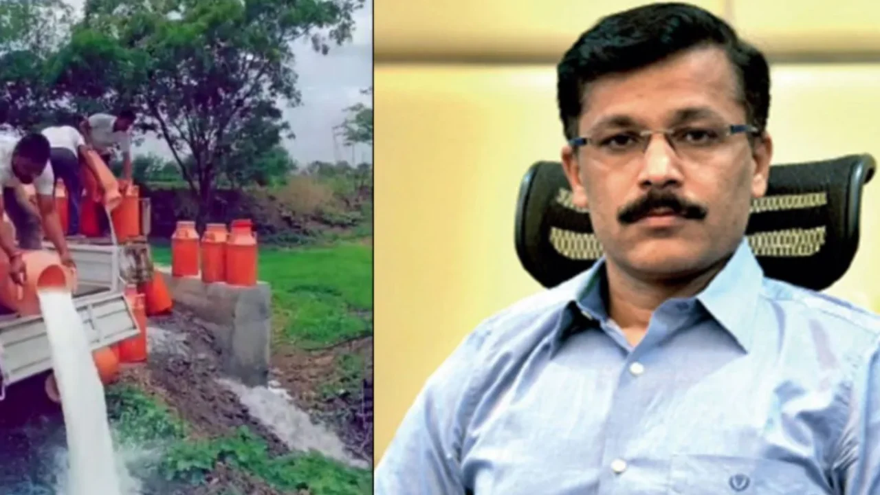 Satara farmer poured hundreds of liters of milk on road viral video Tukaram Mundhe FDA action fear