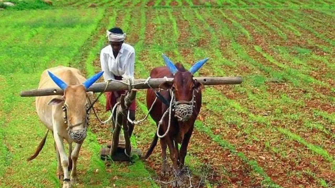 Shetkari Karjamukti Yojana: 94,000 farmers ineligible.