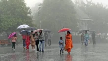 Maharashtra Rain Alert