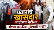 Jayant Patil Devendra Fadnavis travelling together and NCP MPs meeting PM Modi