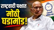 Sharad Pawar NCP Spokesperson Decision