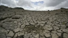 El Nino weather impact