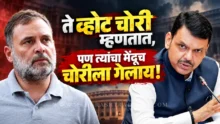 Devendra fadnavis criticizing opposition over evm and election commission