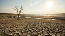 Drought relief drought affected cracked farm land