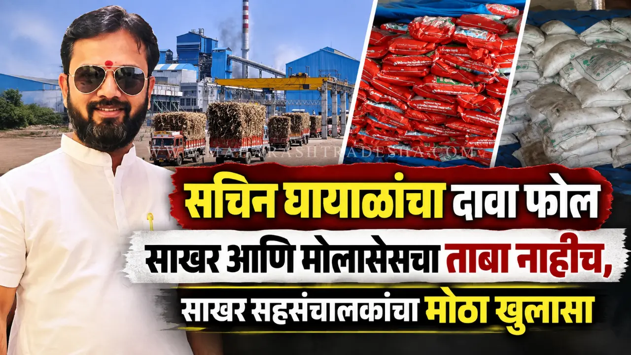 Sachin Ghayal sugar factory godown seal open order and High Court bail hearing update