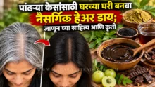 natural hair dye preparation at home hair care