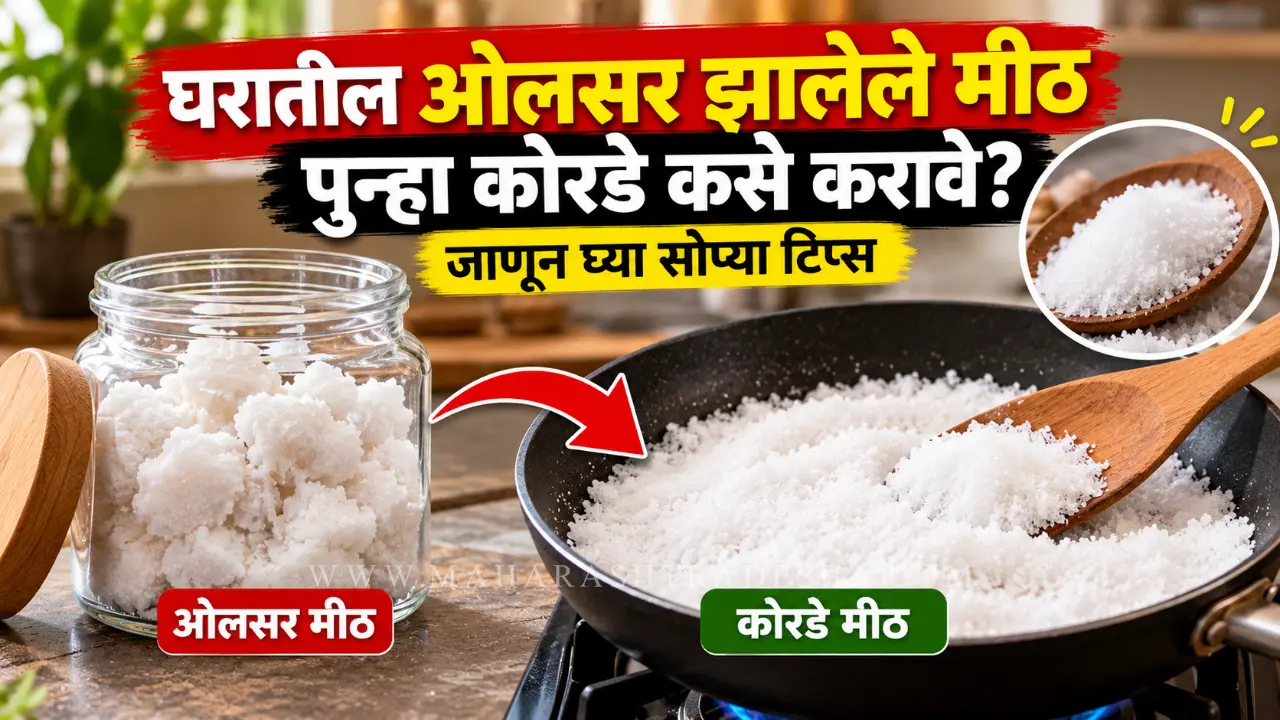 damp salt kitchen tips