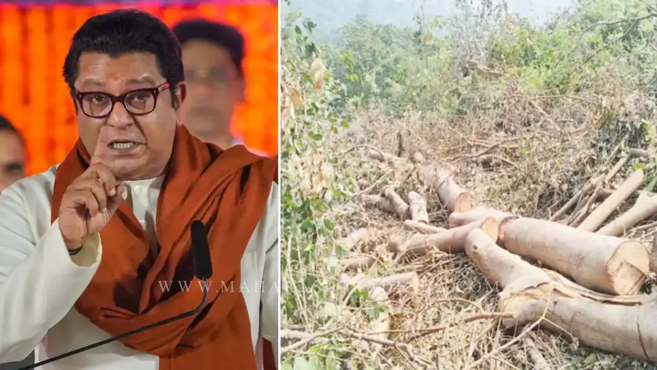 Karjat bhimashankar forest tree cutting torrent power project protest