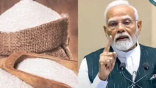 Sugar price and sugar stock news
