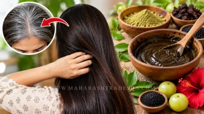 Natural hair dye ingredients and homemade preparation process